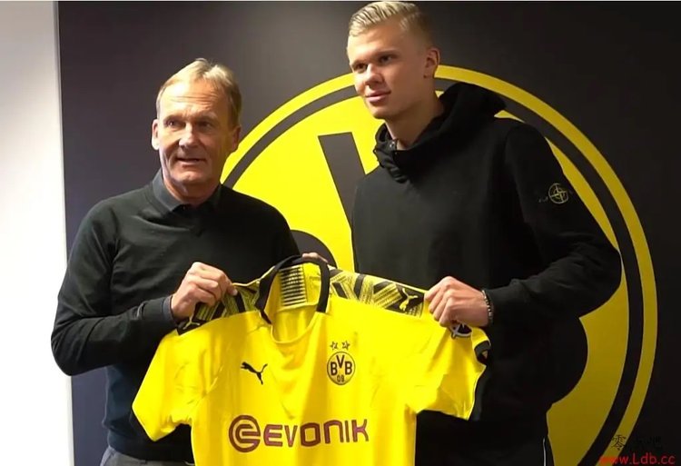 美国体育博彩收入2025年超250亿美元